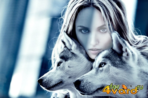  Шаблон psd женский - Девушка с двумя красивыми волками 