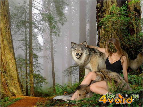  Шаблон для фото - В лесу с волком 