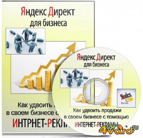 Яндекс директ для бизнеса. VIP - версия. Видеокурс (2013)