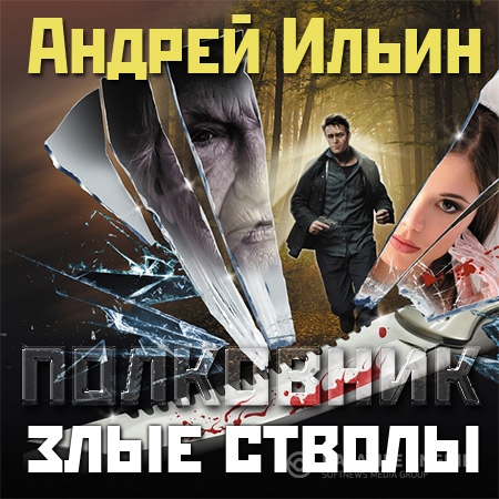 Ильин Андрей  - Злые стволы  (Аудиокнига)