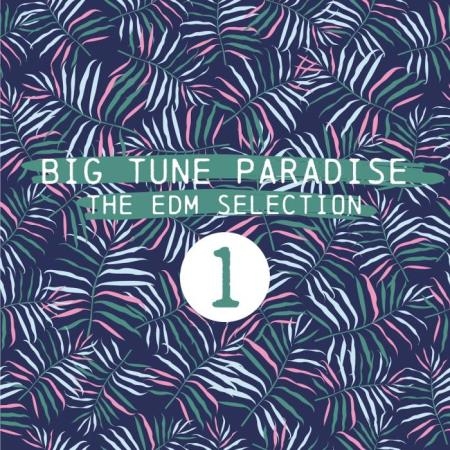 Big Tune Paradise (The EDM Selection, Vol. 1) (2018)