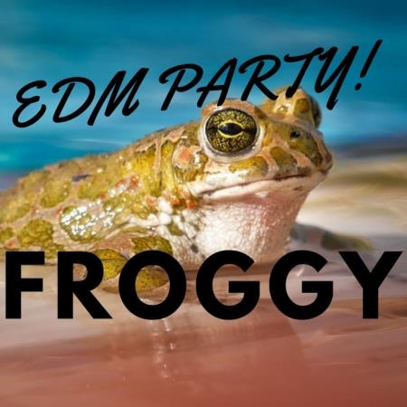 Digilio Edm - Edm Party Froggy (2018)