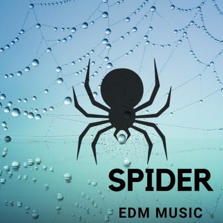 Dj Pacha - Spider EDM Music (2017)