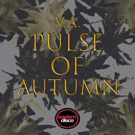 NEUSTADTMUSIK: Pulse of Autumn (2018)