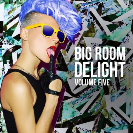 Big Room Delight, Vol. 5 (2018)