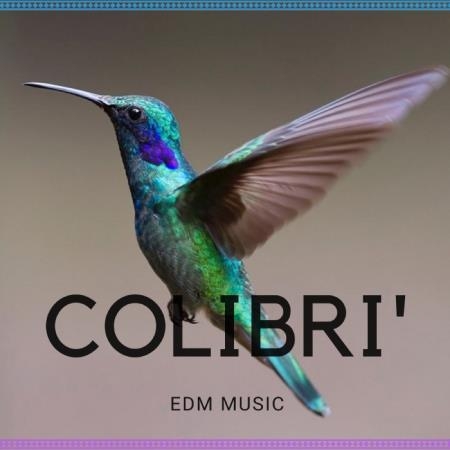 Digilio Edm - Colibri EDM Music (2018)