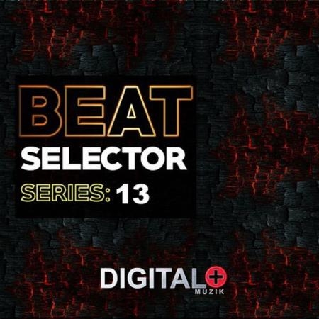 Beat Selector Series 13 (2019)