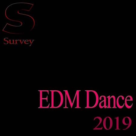 Survey - EDM Dance 2019 (2019)