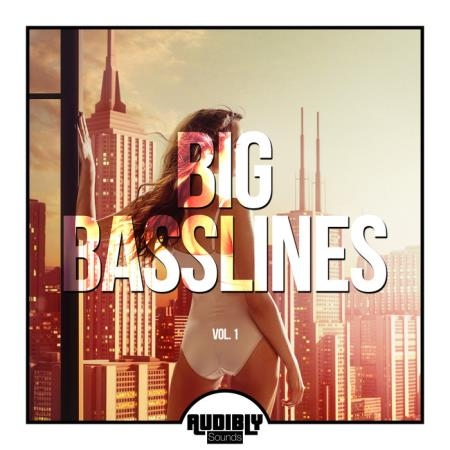 Big Basslines Vol 1 (2019)