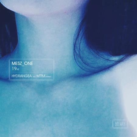 Mesz_one - 19HZ (2019)