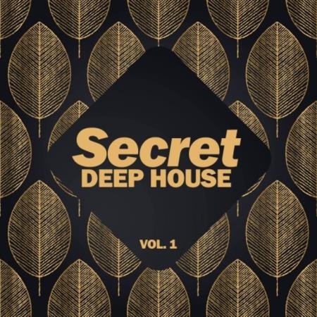 Secret Deep House, Vol. 1 (2019)