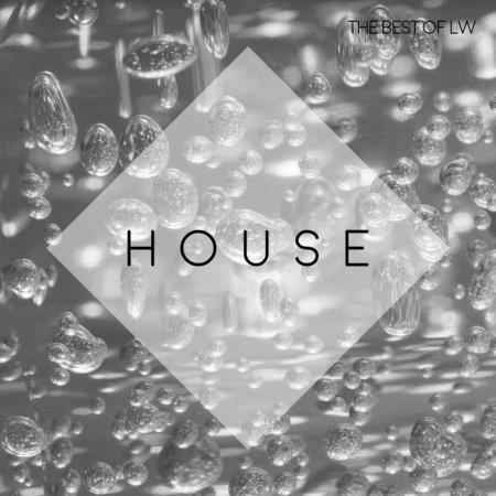 Best Of LW Tech House IV (2020)