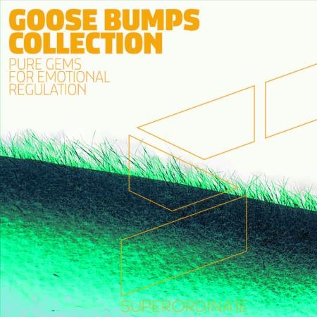 Superordinate Music - Goose Bumps Collection (2020)