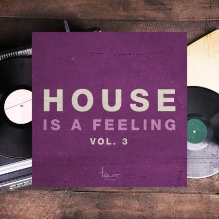 Tenor Recordings - House Is a Feeling, Vol. 3 (2020)