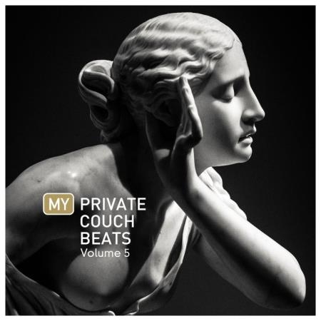 My Private Couch Beats, Vol. 5 (2020)