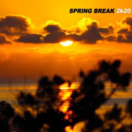 Spring Break 2K20 (2020)