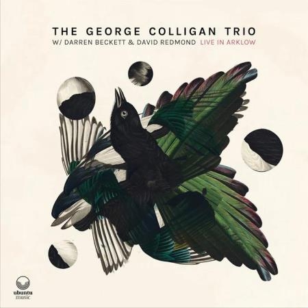 George Colligan - Live in Arklow (2020)