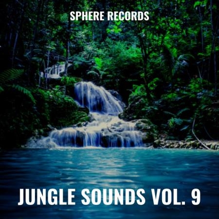 Jungle Sounds Vol. 9 (2020)