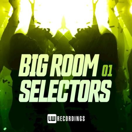 Big Room Selectors 01 (2020)