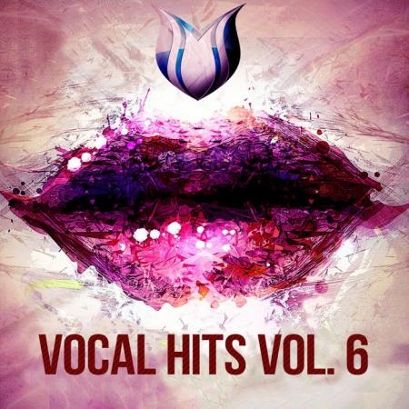 Vocal Hits Vol. 6 (2020)