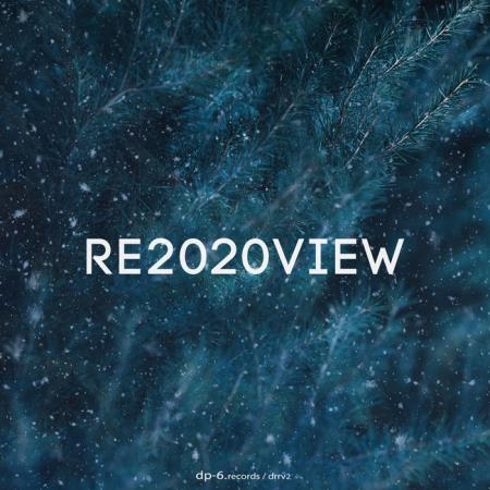 DP-6 - Re2020view (2021)