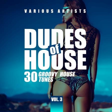 Dudes Of House (30 Groovy House Tunes), Vol. 3 (2021)