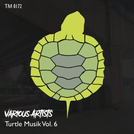 Turtle Musik Vol 6 (2021)