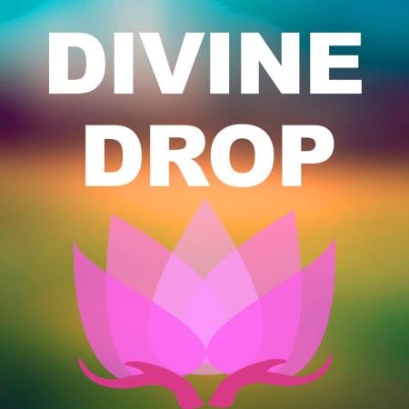Divine Drop - Hit Target (2021)