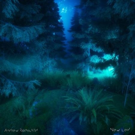 Andrew Rothschild - New Leaf (2021)