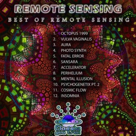 Remote Sensing - Best Of Remote Sensing (2021)