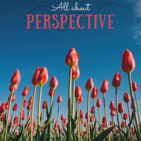 All About Perspective (Compilation) (2021)