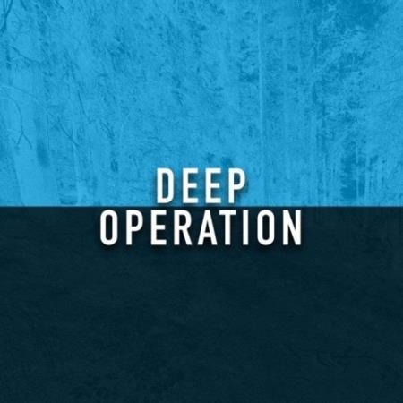 Berry Parfait: Deep Operation (2021)