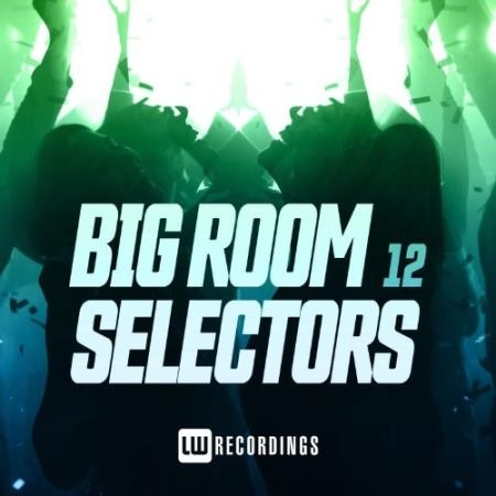 Big Room Selectors, 12 (2021)