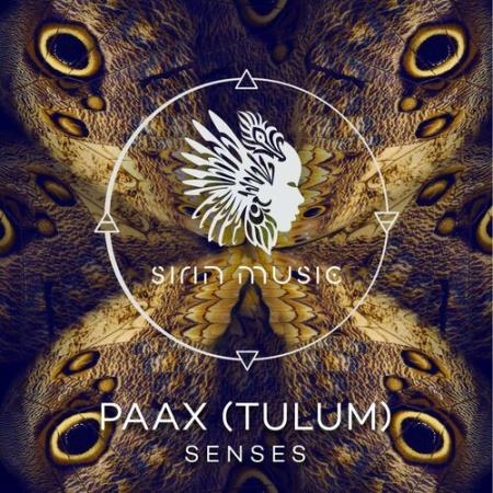 PAAX (Tulum) & Stefan Obermaier - Senses (2022)