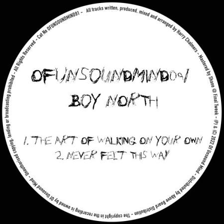 Boy North - The Art Of Walking On Your Own _ Never Felt This Way (2022)