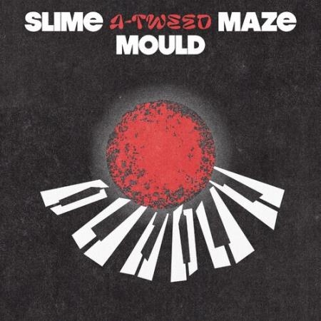 A-Tweed - Slime Mould Maze EP (2022)