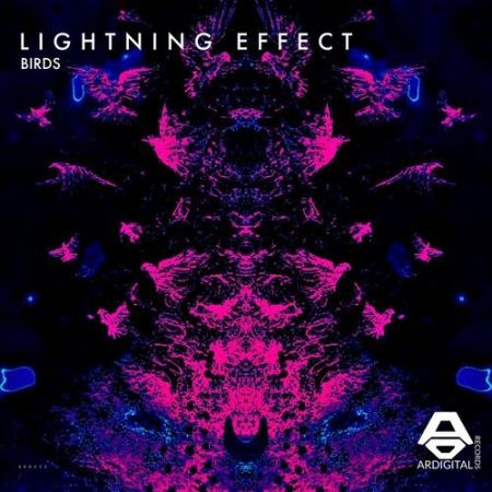 Lightning Effect - Birds (2022)