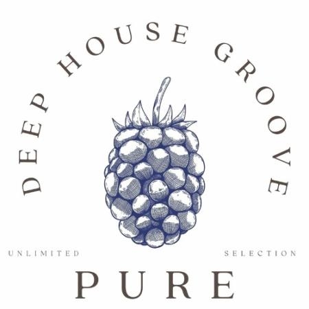 Pure Deep Groove (2022)