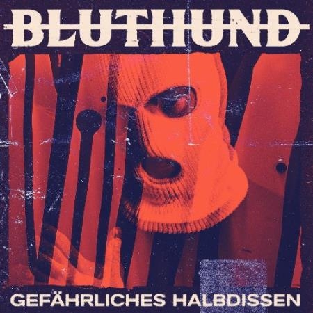 Bluthund, Itchy - Gefahrliches Halbdissen (2022)