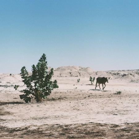 Tinariwen - Alkhar Dessouf (Zeid Hamdan Remix) (2022)
