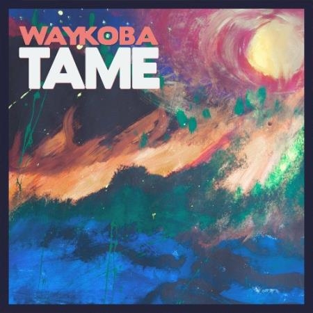Waykoba - Tame (2022)