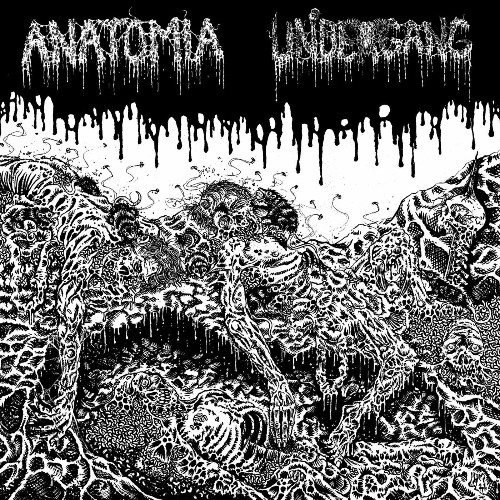 Anatomia  Undergang - Split LP (2022)