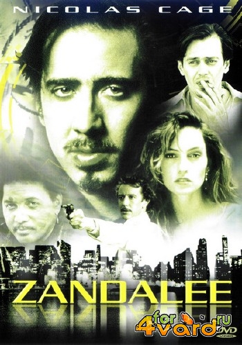  / Zandalee (1991) DVDRip-AVC