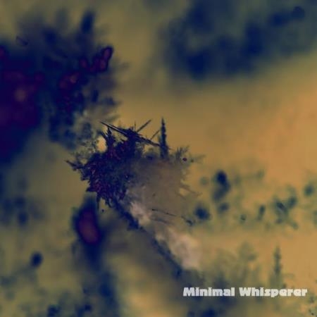 Minimal Whisperer (2019)