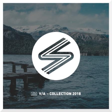 Collection, Vol. 7 (2019)