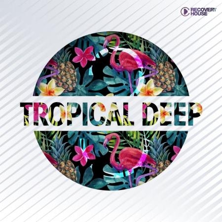 Tropical Deep, Vol. 3 (2019)