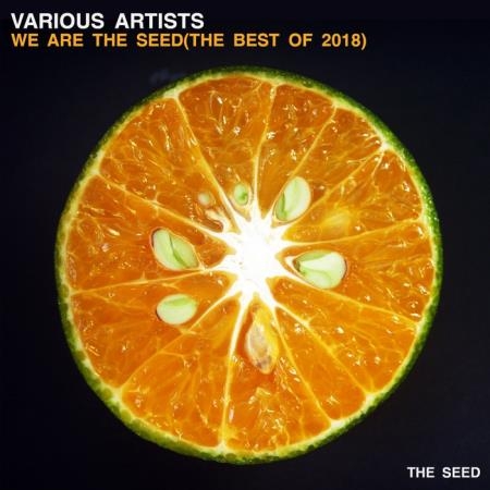 We Are The Seed (The Best of 2018) (2019)