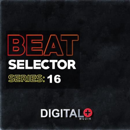 Beat Selector Series 16 (2019)