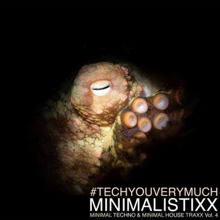 Minimalistixx Vol 4 (Minimal Techno & Minimal House Traxx) (2019)