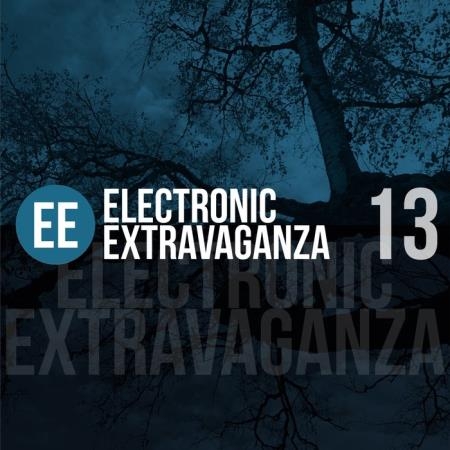 Electronic Extravaganza, Vol. 13 (2019)